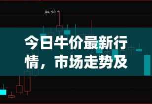 今日牛价最新行情,市场走势及影响因素深度解析