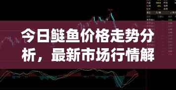 今日鲢鱼价格走势分析，最新市场行情解读