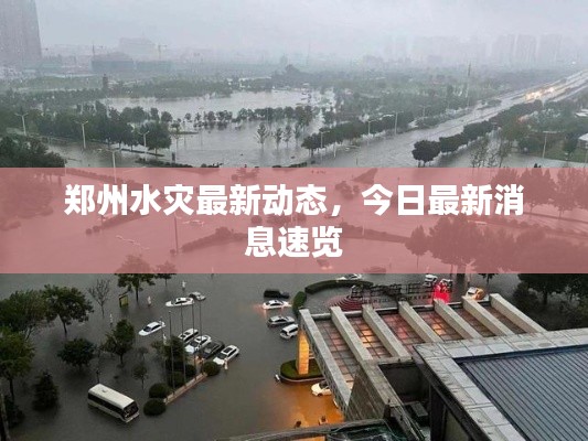 郑州水灾最新动态，今日最新消息速览
