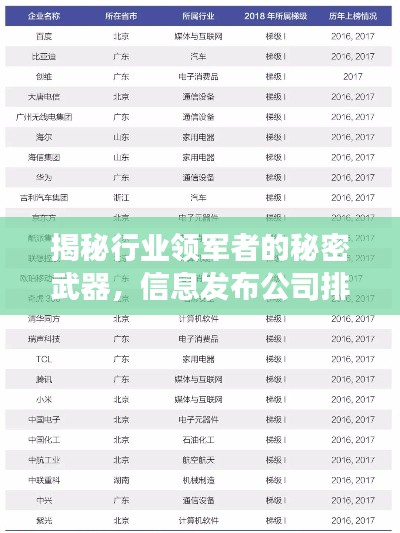 揭秘行业领军者的秘密武器，信息发布公司排名榜单重磅出炉！