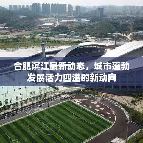 合肥滨江最新动态，城市蓬勃发展活力四溢的新动向