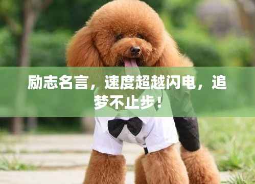 励志名言，速度超越闪电，追梦不止步！