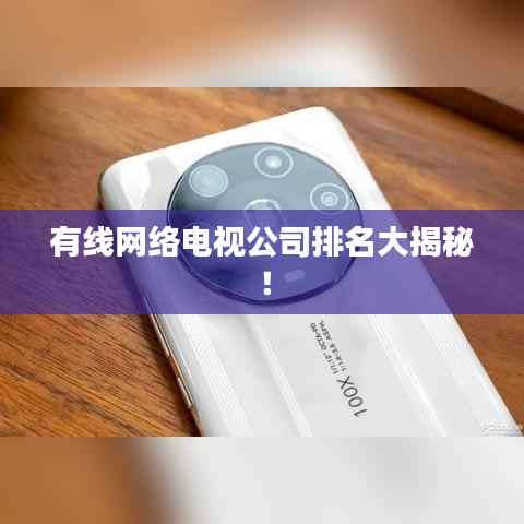 有线网络电视公司排名大揭秘!