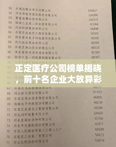 正定医疗公司榜单揭晓，前十名企业大放异彩！