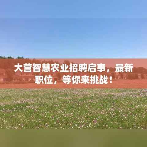 大营智慧农业招聘启事，最新职位，等你来挑战！
