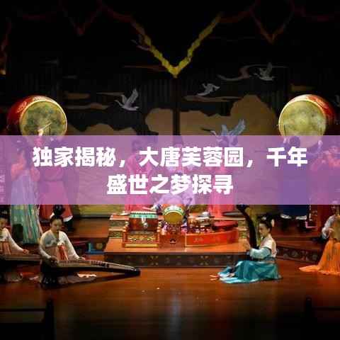 独家揭秘，大唐芙蓉园，千年盛世之梦探寻