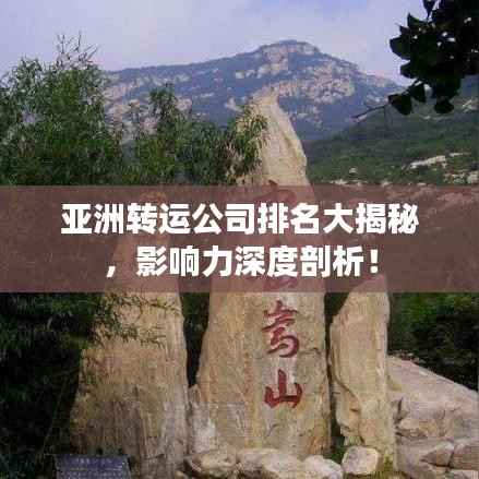 亚洲转运公司排名大揭秘，影响力深度剖析！